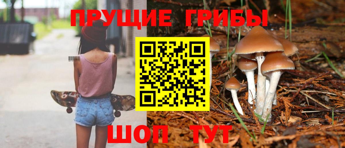 Галлюциногенные грибы прущие грибы  Вход с VPN  Киржач 